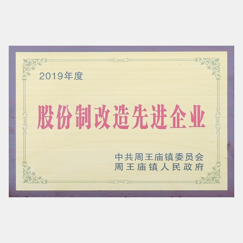 2019年度股份制改造先進(jìn)企業(yè)